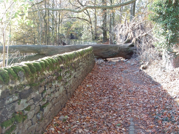 Got a Bridleway Problem? Report it to ECC